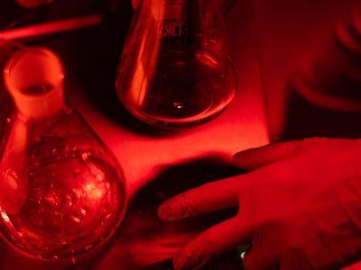 Detail of a hand holding a stopwatch